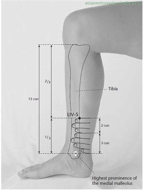 lv5 acupuncture point
